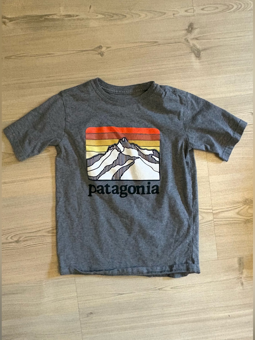 Patagonia Tee with Mountain Graphic